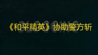 《和平精英》协助警方斩断DMA外挂黑产链 胜利端掉多款DMA作弊工具